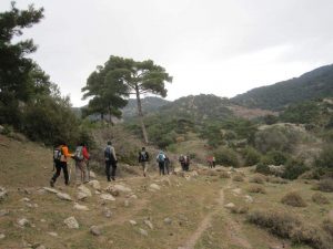 img_6485