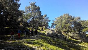 olimpos III nif