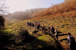 doğa yüryslr (1)